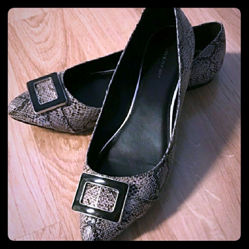 Banana Republic Flats